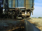 Assignment: Ground Level. December 8, 2002