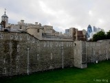 Castle