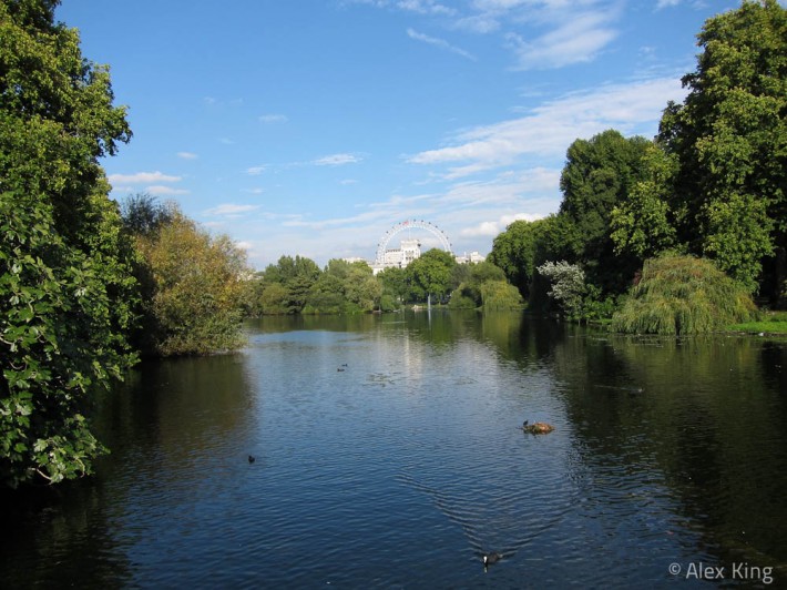 Pond