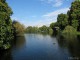 Pond