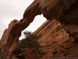 Wall Arch