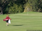 Walking to the green.