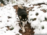 In his element