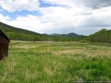 Meadow