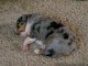 Naptime