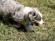 Kinda hot out