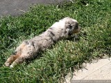 Stretching after a nap