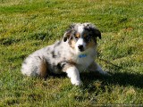 Fun in the grass