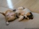 Sleeping