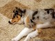 Back to sleep