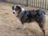 Outside is fun!