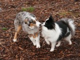 Kissy kissy