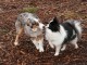 Kissy kissy
