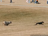 Full stride