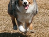 Hovering
