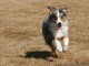 Bounding
