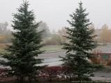 First snow of the season.