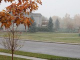 Still some fall leaves around.