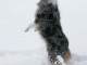 Ooh, there are some other dogs out there!