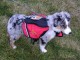 Future hiker