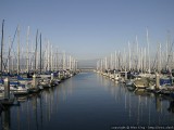 McCovey Cove.