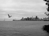 San Francisco from Alcatraz.