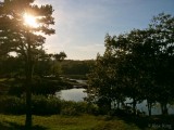 Evening Sunburst