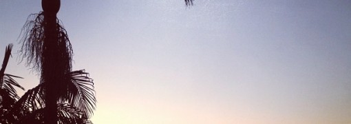6804795594_2d70db42e2_b