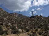 Cibola National Forest