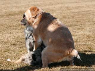 Hey, this is a family park