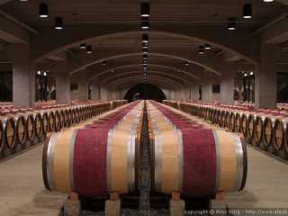 Wine Barrels.